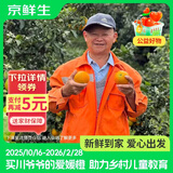 京鲜生【公益好物】川爷爷的爱媛38号果冻橙 净重4.5-5斤 单果120g＋