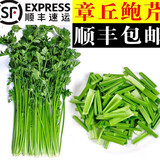御农优品 山东章丘鲍芹香芹芹菜新鲜蔬菜香脆无丝新鲜鲍香芹嫩芹礼盒装 5斤鲍芹芽子礼盒装