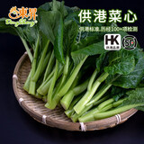 東昇供港菜心300g菜薹新鲜时蔬食品嫩甜现摘火锅白灼 供港蔬菜