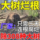 烂树根剂大树除树一滴死一针倒强力除树剂杀大树烂根王专用药正品 烂根粉 500g 1桶