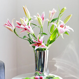 京东鲜花 【静待花开】三头百合粉色 3枝