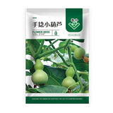 美外 花草花卉种子 室外花种籽子四季播种开花盆栽庭院花种子 手捻小葫芦【1包约30粒】