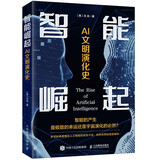 智能崛起 AI文明演化史（异步图书出品） deepseek教程