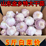 2025年新鲜紫皮干蒜可腌制腊八蒜9斤5斤整箱新晒干十成干紫皮干蒜 2500g 优选特大果