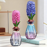 花翁风信子种球粉+蓝/钻石瓶2套 带芽室内盆栽水培绿植物花卉源头直发