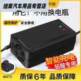 洪振虎超威天能通用两轮三轮电动车电瓶车充电器48V60V72V96V20AH 充满自停款 48V12AH通用T孔