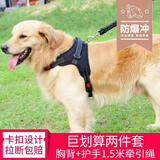 驭兽 狗绳柯基柴犬法斗金毛胸背带牵引绳中小型犬遛狗绳狗链 黑色 L号(建议40-60斤 )
