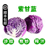 【顺丰】羽衣甘蓝 新鲜沙拉菜 都市健康轻食蔬菜 紫甘蓝1000g