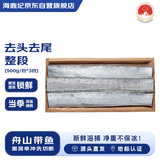 海鼎纪 舟山带鱼段品质整段500g *3包 生鲜鱼类 源头直发