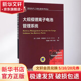 正版 大规模锂离子电池管理系统 达维德 安德里 电力电子 控制系统 技术 功能 拓扑 商业可行性 算法 设计 安装 故障排除
