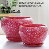 仟尚亿 两个一套 特大 大号花盆陶瓷带托盘创意个性绿萝吊兰简约中国风蝴蝶兰菖蒲桌面家用多肉花盆 苹果雪花红点（特大号.大号）套二 大