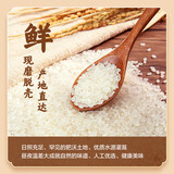 盘锦大米 GB/T18824 东北大米圆粒珍珠米【包装款式随机发货】 盘锦大米500g【1斤】