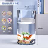 团圆月加厚大小号玻璃圆柱鱼缸客厅家用落地花瓶圆形圆柱形水培直筒 20*60圆柱+彩石6件套