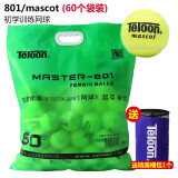 天龙（Teloon）网球训练球进阶初学专业比赛网球耐磨 801初学一袋（60个） 送精美桶包