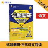 试题调研 热点题型专练 语文 古代诗文阅读（文言文阅读）高考小题 2025年新版 天星教育