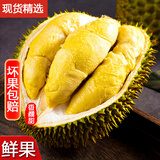 源外泰国进口金枕榴莲老树果 当季新鲜整个带壳报恩水果热带水果鲜果 净重3-4斤1个