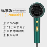 迪沃斯德国智能电吹风机家用大功率负离子护发静音冷热风速干小型吹风筒 绿-标准版-120000转速（无光环）
