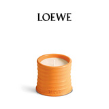 罗意威（LOEWE）橙花香薰蜡烛170g小号新婚礼物送女友高档伴手礼生日节日礼物