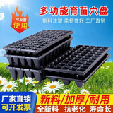 育苗盘育苗盆穴盘塑料杯种植营养钵蔬菜育种扦插盒农用托盘盆 50穴加厚育苗盘10片