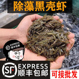 逸乐宠黑壳虾草缸清洁虾乌龟龙鱼饲料除藻虾观赏虾工具虾草虾活体虾米虾 黑壳虾100只+100防损 发顺丰
