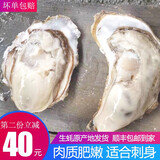 海味先生 生蚝鲜活 海蛎子 2.5kg 袋装 【爆款】5斤（20-25只）