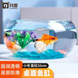 共度（Gong Du）玻璃鱼缸球形圆形缸生态草缸乌龟缸居家创意桌面水族箱观赏金鱼缸 小号裸缸 直径20cm 口径15cm 高度10cm