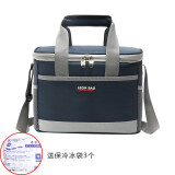 本驰时尚保温袋午餐包母乳冰包医药保冷保温包冷热防水内胆大号加厚 15升（中号）