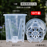 沪上花匠透明青山控根盆家用塑料透气镂空大号花盆兰花水苔蝴蝶兰专用花盆 【10个】三代空气柱14cm 配套托盘