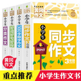 小学生3年级同步作文+好词好句好段+分类作文+300字限字（全4册）班主任推荐作文书素材辅导三年级8-9岁适用作文大全