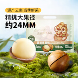 三只松鼠夏威夷果500g/袋 坚果炒货量贩干果休闲零食送礼一斤装
