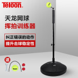 天龙（Teloon）网球挥拍动作训练器单人练习固定反弹网球 T-1803