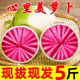 农大姐妹潍坊心里美水果萝卜 甜脆红心萝卜 潍县萝卜生吃腌制红心萝卜 3斤