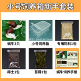 宠以沫宠物白玉蜗牛活体巨型大蜗牛宠物观赏学生科学实验教学小蜗牛套装 小饲养箱新手套装2只蜗牛