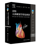奈特人体解剖学彩色图谱（第7版）张卫光  中英双语对照  医学生和医学临床工作者的必备