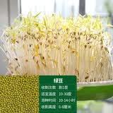 寿禾自动发芽机绿豆黄豆夏秋季播种阳台罐专用家庭种植发豆芽苗菜种子 绿豆种子【豆芽用】 1斤装