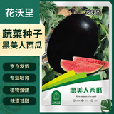 花沃里黑美人西瓜种50粒 蔬菜种子阳台花盆西瓜盆栽种菜土庭院田间种植