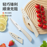 拜格水果刀家用不锈钢瓜果刀厨师专用切水果便携防锈刀具多功能小刀 【配刀套】经典款水果刀-单把