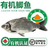 太湖海【有机淡水鱼】南都湖河鲜 三去生鲜鱼类海鲜水产 有机鲫鱼（500g/袋*5袋）