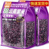 滇品客端午绿色食品云南紫米1斤新米五谷杂粮墨江紫糯米煮粥饭团紫米露