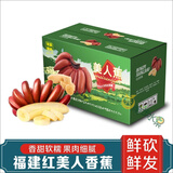 南步福建红美人香蕉 土楼特产红皮高山自然熟芭蕉小米粉蕉新鲜水果 5斤 精品红香蕉 