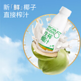 乐百氏（robust）生榨椰汁245mL*10整箱植物蛋白饮料正宗鲜椰奶水椰汁饮料 生榨椰汁245ml*10