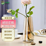 吕姆克花瓶玻璃摆件富贵竹康乃馨玫瑰插花玻璃花瓶装饰琥珀色高22cm7740