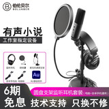 伯伦贝尔BL520X-USB电容麦克风有声书专用录音设备专业小说喜马拉雅手机话筒朗诵配音播音套装主播录音棚级 【入门款】配桌面支架+监听耳机