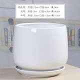 芊堂苑北欧花盆陶瓷黑白色家用室内阳台兰花蝴蝶兰带托盘绿萝君子兰盆景 8390000白 特大