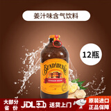 宾得宝（Bundaberg） 澳洲原装进口 含气果汁375ml汽水碳酸饮料网红汽水 375ml*12瓶 姜汁味