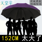 天堂 伞超大雨伞折叠伞特大伞三人加大商务巨大伞晴雨两用伞户外男女 紫色升级商务伞（伞面152cm 10骨