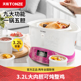天际（TONZE）电炖锅 隔水炖 煮粥 炖汤  电煮锅家用煲汤锅燕窝滋补养生智能预约大升数电炖盅 经典款【隔水蒸炖】3-5人|5胆【 3.2L 】