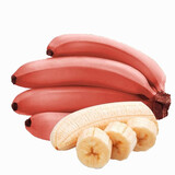 卡布诺福建漳州红皮香蕉土楼红美人香蕉当季新鲜网软糯红芭蕉应季水果 5斤精选装