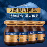 绿芙（Springleaf）澳洲男士能量胶囊60粒 袋鼠精牡蛎精奶蓟草 补肾亏壮阳备孕 【持续巩固】买3赠1-共发4瓶