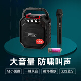 爱歌贵州小蓉儿s28无线蓝牙音箱户外k歌麦克风话筒唱歌便携式广场舞音响低音炮小型家用家庭ktv播放器 无线版+U段单话筒+歌曲U盘